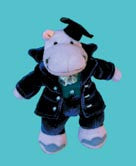 Music for Little Mozarts: Plush Toy -- Professor Haydn Hippo 00-18792   upc 038081183053
